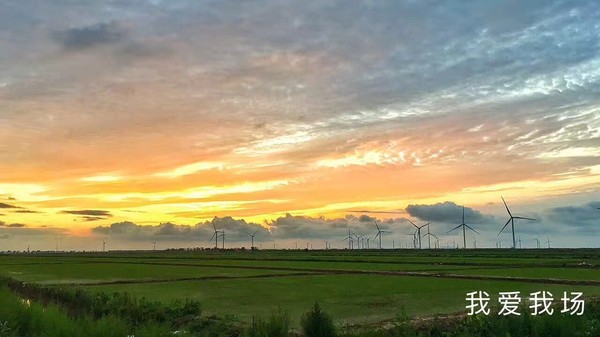 美丽农场。斯雨光.jpg
