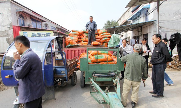 IMG_0735 - 副本.JPG