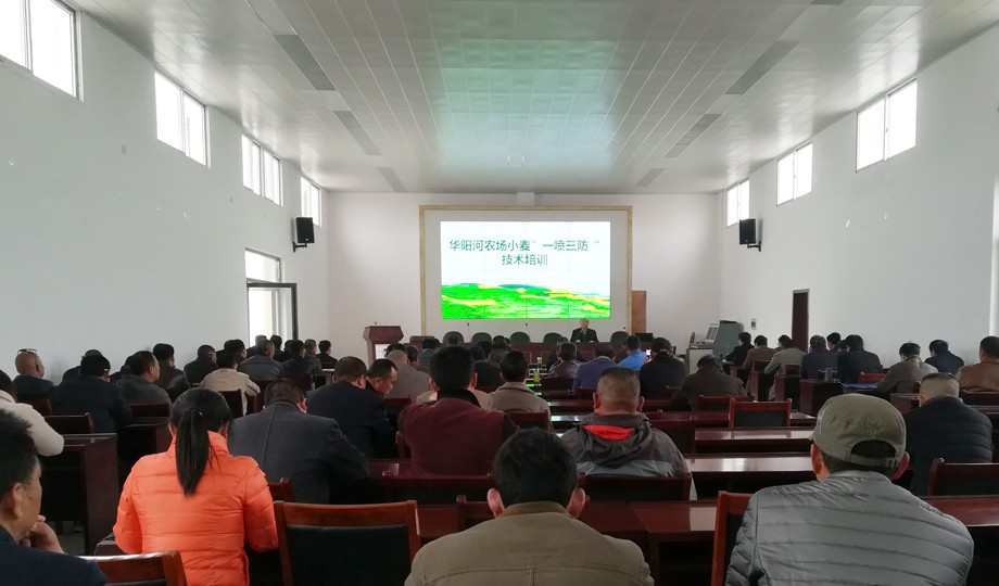华阳河农场小麦一喷三防培训图片.jpg