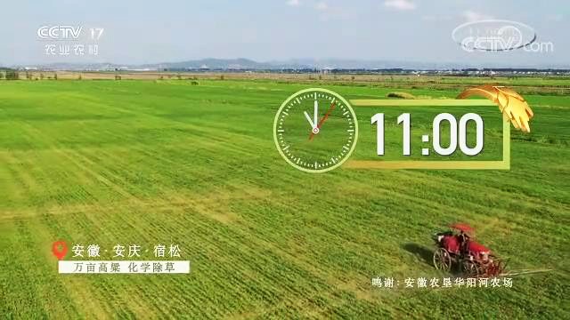 中央电视台 (7.1)_20200823154801.JPG