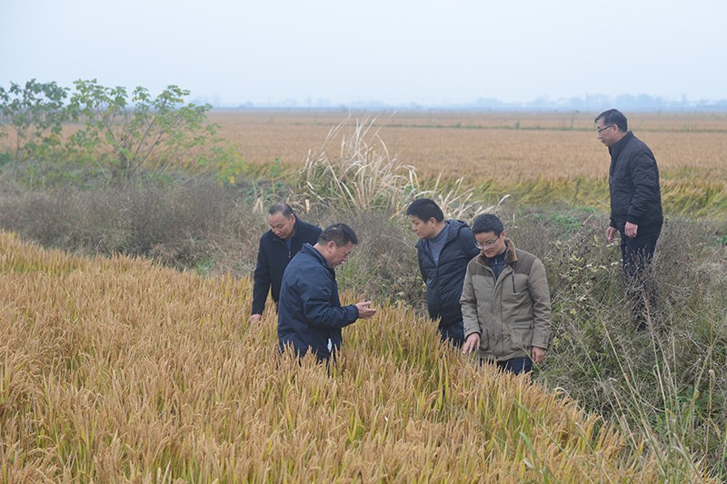 DSC_0018 - 副本.JPG